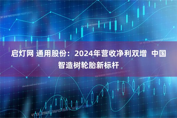 启灯网 通用股份：2024年营收净利双增  中国智造树轮胎新标杆