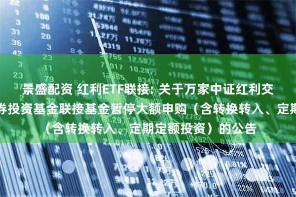 景盛配资 红利ETF联接: 关于万家中证红利交易型开放式指数证券投资基金联接基金暂停大额申购（含转换转入、定期定额投资）的公告
