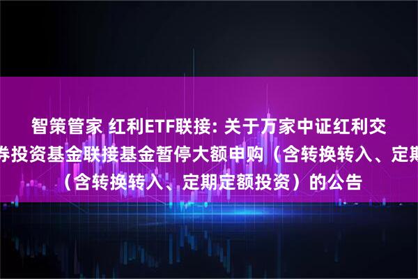 智策管家 红利ETF联接: 关于万家中证红利交易型开放式指数证券投资基金联接基金暂停大额申购（含转换转入、定期定额投资）的公告