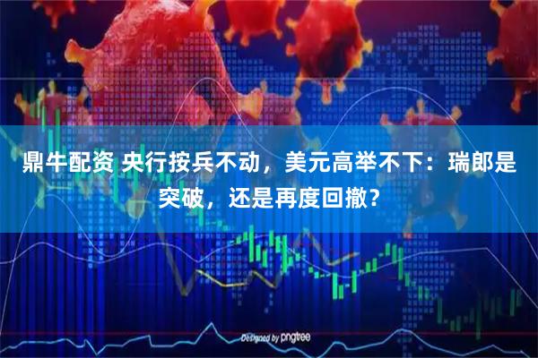 鼎牛配资 央行按兵不动，美元高举不下：瑞郎是突破，还是再度回撤？