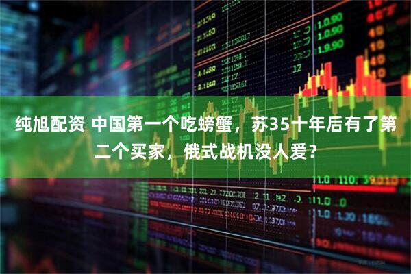 纯旭配资 中国第一个吃螃蟹，苏35十年后有了第二个买家，俄式战机没人爱？