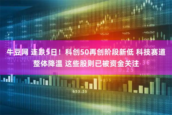 牛豆网 连跌5日！科创50再创阶段新低 科技赛道整体降温 这些股则已被资金关注