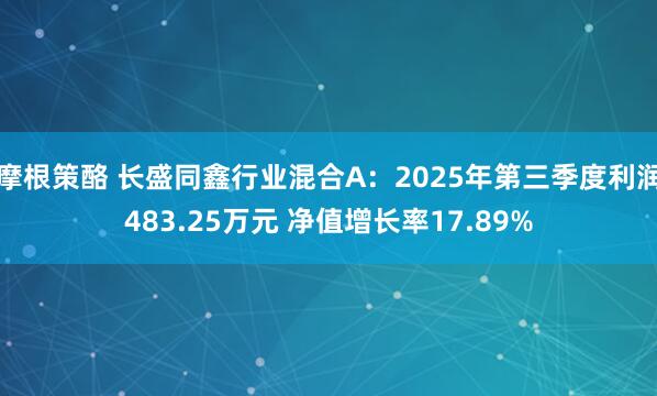 摩根策酪 长盛同鑫行业混合A：2025年第三季度利润483.25万元 净值增长率17.89%