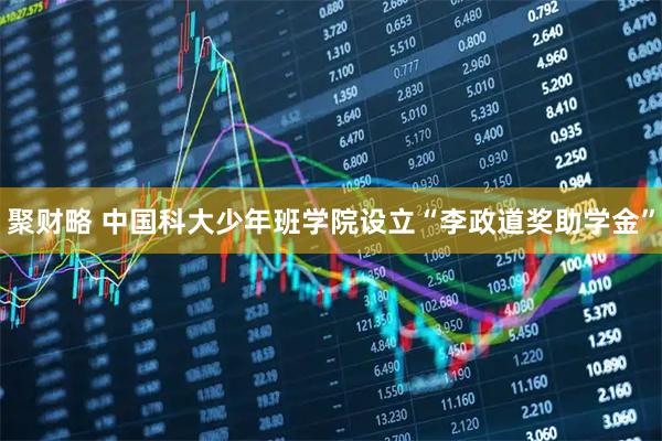 聚财略 中国科大少年班学院设立“李政道奖助学金”
